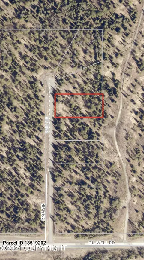 17838 Rmk Cir, Ninilchik, AK 99639