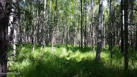 1088 N Suzanna St, Wasilla, AK 99623