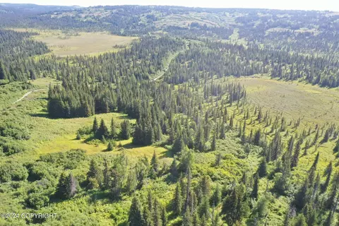 63687 Inez Ave, Anchor Point, AK 99556