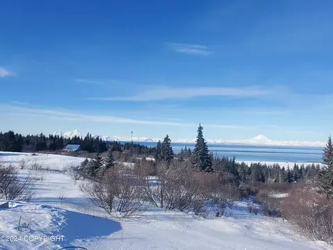 Other - 17728 Arcturus Loop, Ninilchik, AK 99639 photo 2 of 9