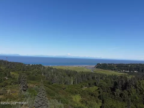 View/Area - 17728 Arcturus Loop, Ninilchik, AK 99639 photo 4 of 4