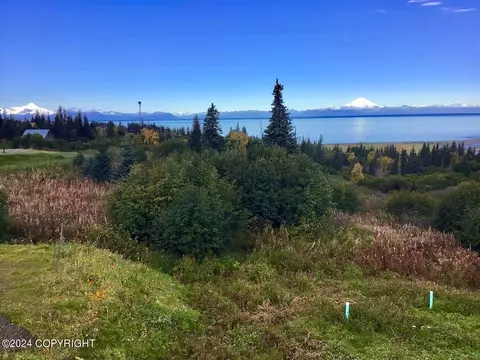 View/Area - 17728 Arcturus Loop, Ninilchik, AK 99639 photo 1 of 4