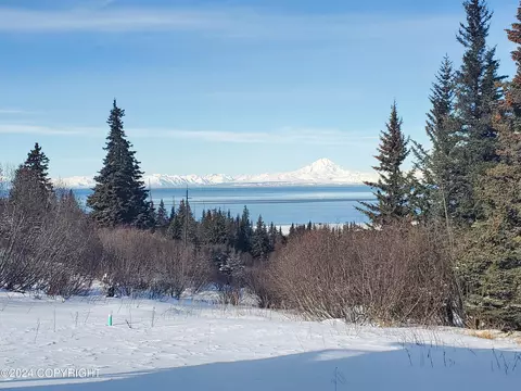 View/Area - 17728 Arcturus Loop, Ninilchik, AK 99639 photo 2 of 4
