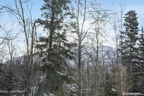 Other - 19334 Pribilof Loop, Eagle River, AK 99577 photo 3 of 3