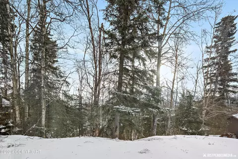 Other - 19334 Pribilof Loop, Eagle River, AK 99577 photo 2 of 3