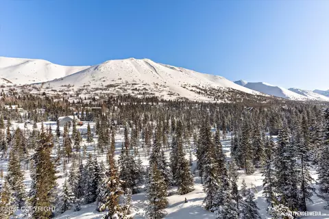 Other - 1797 W River Dr, Eagle River, AK 99577 photo 23 of 24