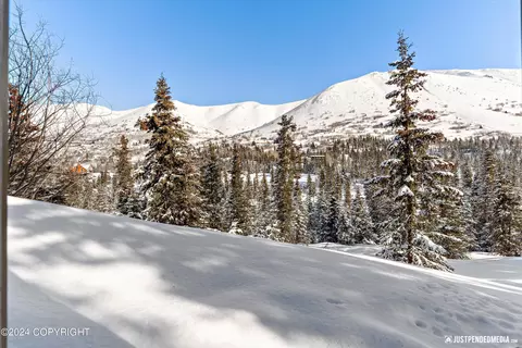 Exterior - 1797 W River Dr, Eagle River, AK 99577 photo 8 of 17