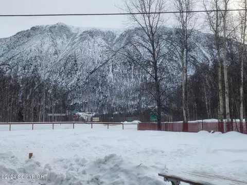 View/Area - 24336 Leos Rd, Chugiak, AK 99567 photo 1 of 1