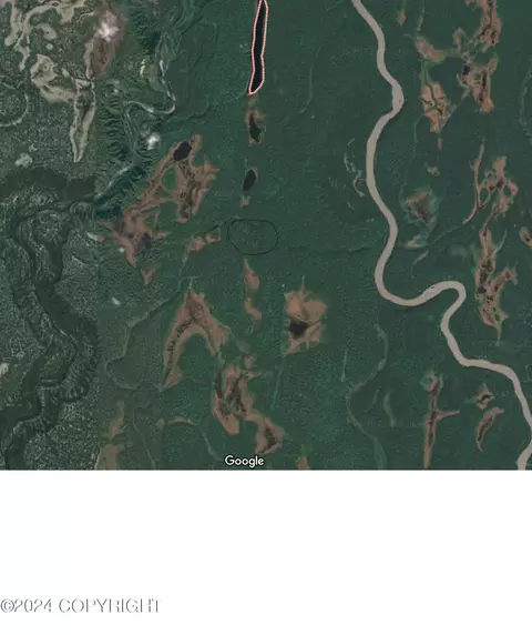 Tr C No Road, Trapper Creek, AK 99683