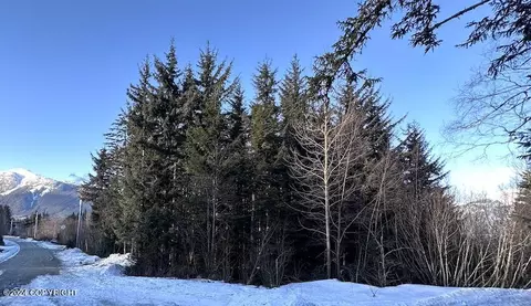 Nhn Matrix Drive, Haines, AK 99827