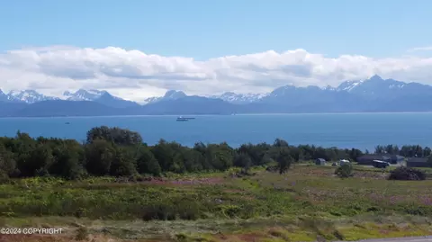 41151 Wandering St, Homer, AK 99603
