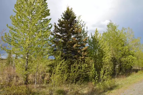 L33 Skylark Lane, Soldotna, AK 99669