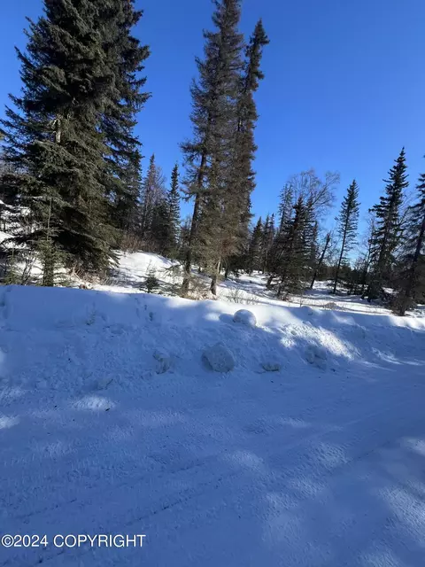 L15 B2 Arctic Circle, Nikiskinorth Kenai, AK 99635