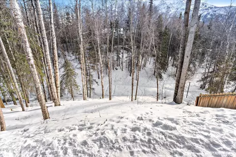 View/Area - 18830 S Kanaga Loop, Eagle River, AK 99577 photo 1 of 1