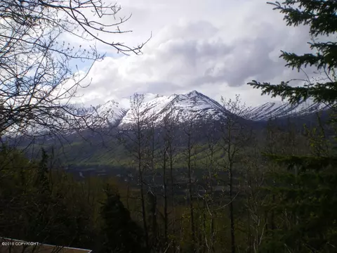 View/Area - 22051 Upper Canyon Dr, Eagle River, AK 99577 photo 2 of 2