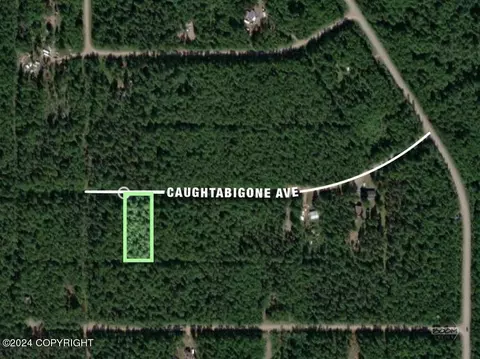 19918 E Caughtabigone Ave, Willow, AK 99688