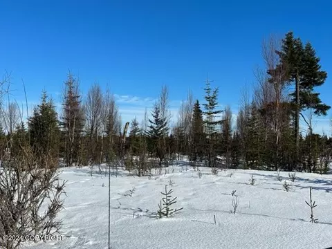 Tract 42-c Pepper Road, Anchor Point, AK 99556