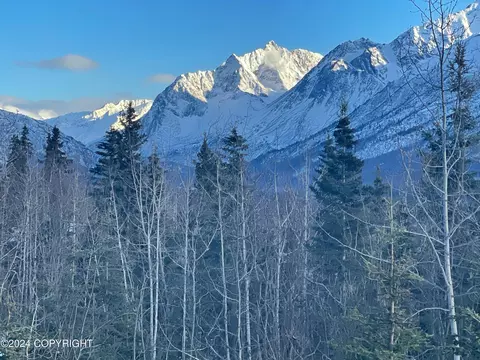 View/Area - 27438 Paramount Dr, Eagle River, AK 99577 photo 4 of 4