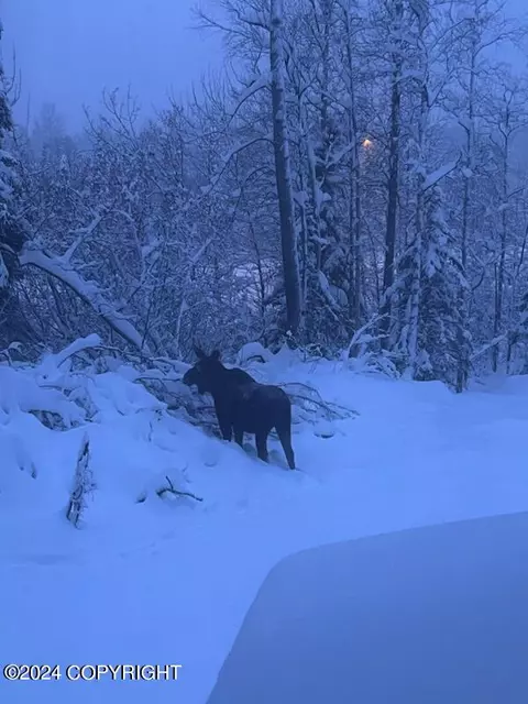 Other - 13346 Curry Ridge Cir, Eagle River, AK 99577 photo 7 of 8