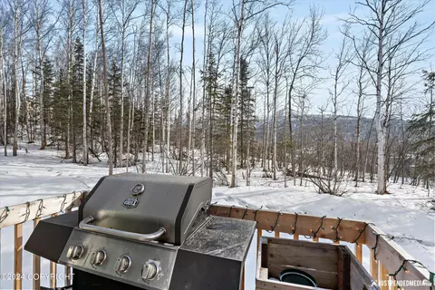 Exterior - 13346 Curry Ridge Cir, Eagle River, AK 99577 photo 2 of 7