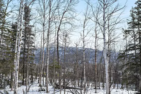 View/Area - 13346 Curry Ridge Cir, Eagle River, AK 99577 photo 1 of 3