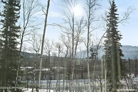 Other - 13346 Curry Ridge Cir, Eagle River, AK 99577 photo 6 of 8