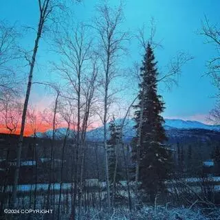 View/Area - 13346 Curry Ridge Cir, Eagle River, AK 99577 photo 3 of 3