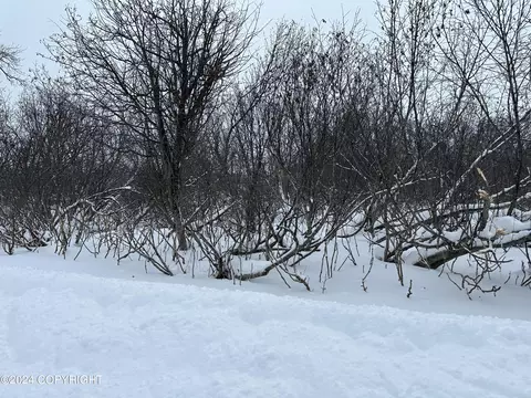 Lot 3 Sea Scape Sub, Nikiskinorth Kenai, AK 99635