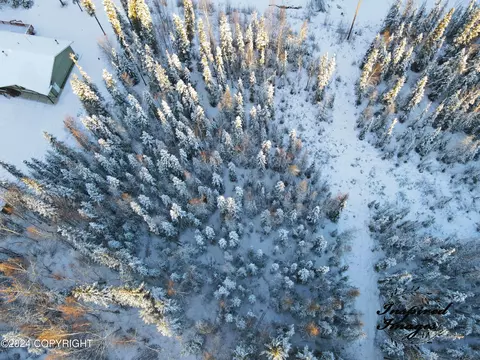 L15 Bb Tops Street, North Pole, AK 99705