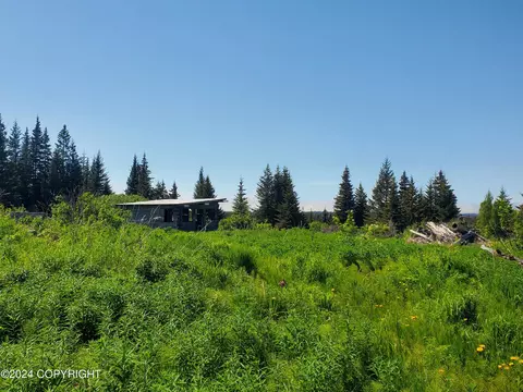 36082 Flintstone St, Anchor Point, AK 99556