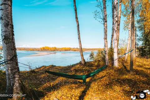 56216 S View Point Dr, Willow, AK 99688 photo 8