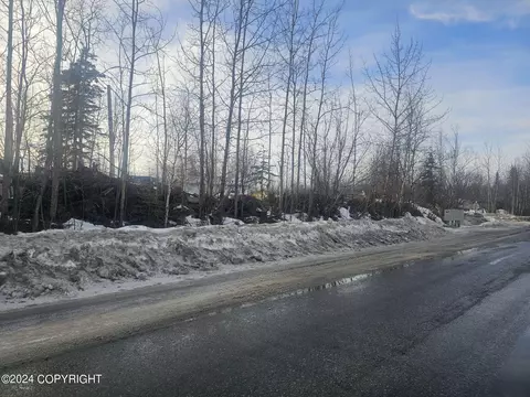 L15 B13 Tanana Drive, Wasilla, AK 99654