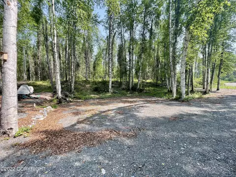 Exterior - 19911 E Sparrow Hawk Cir, Willow, AK 99688 photo 5 of 20