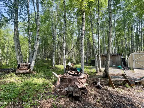 Exterior - 19911 E Sparrow Hawk Cir, Willow, AK 99688 photo 12 of 20