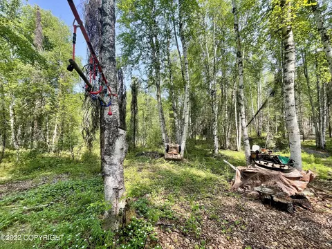 Exterior - 19911 E Sparrow Hawk Cir, Willow, AK 99688 photo 11 of 20