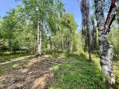 Exterior - 19911 E Sparrow Hawk Cir, Willow, AK 99688 photo 10 of 20