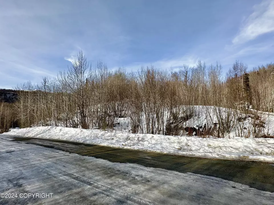  Nhn N Fish Lake Road, Chickaloon, AK 99674 photo 19