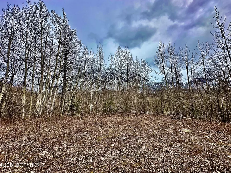  Nhn N Fish Lake Road, Chickaloon, AK 99674 photo 2