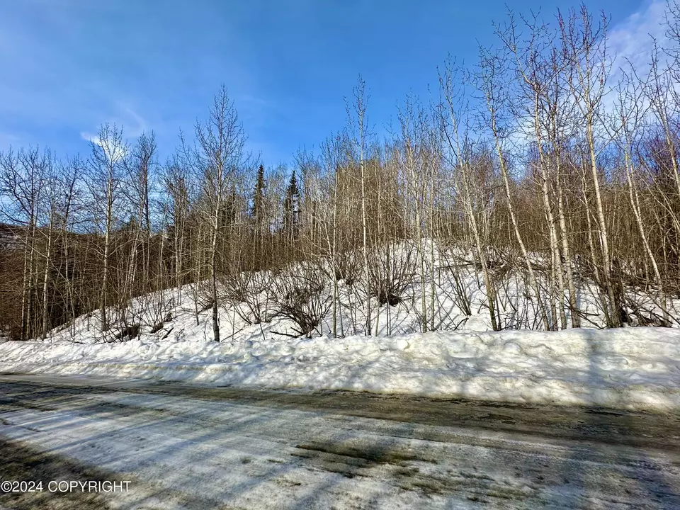  Nhn N Fish Lake Road, Chickaloon, AK 99674 photo 18