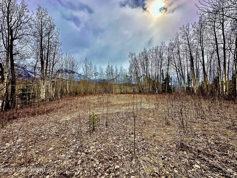 Nhn N Fish Lake Road, Chickaloon, AK 99674 photo 3