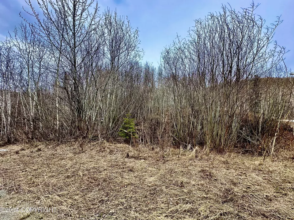  Nhn N Fish Lake Road, Chickaloon, AK 99674 photo 8