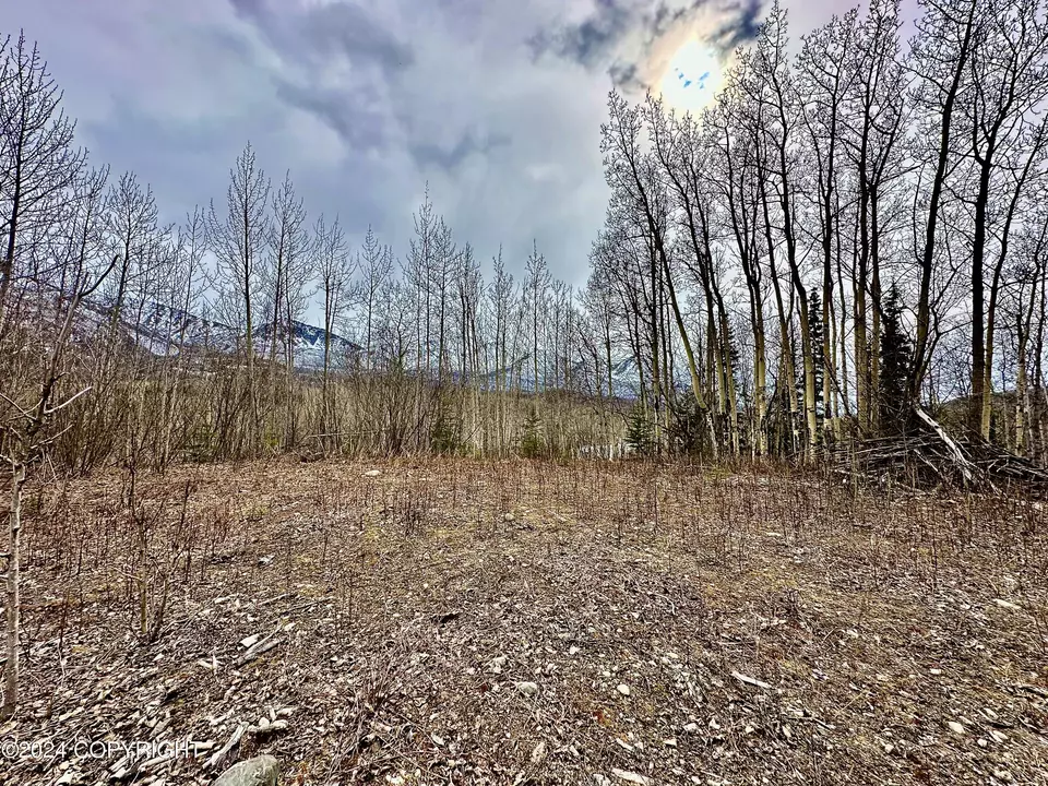  Nhn N Fish Lake Road, Chickaloon, AK 99674 photo 6