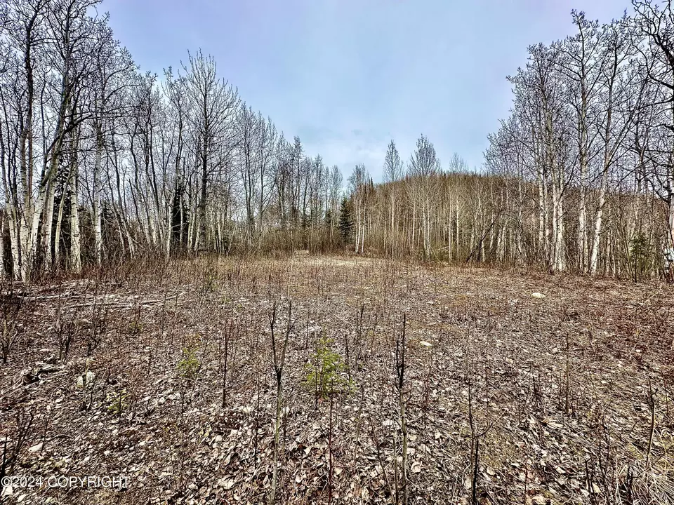  Nhn N Fish Lake Road, Chickaloon, AK 99674 photo 5