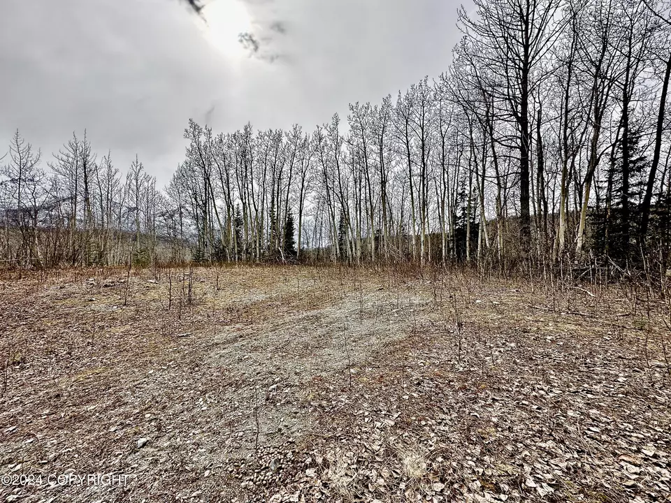 Nhn N Fish Lake Road, Chickaloon, AK 99674 photo 7