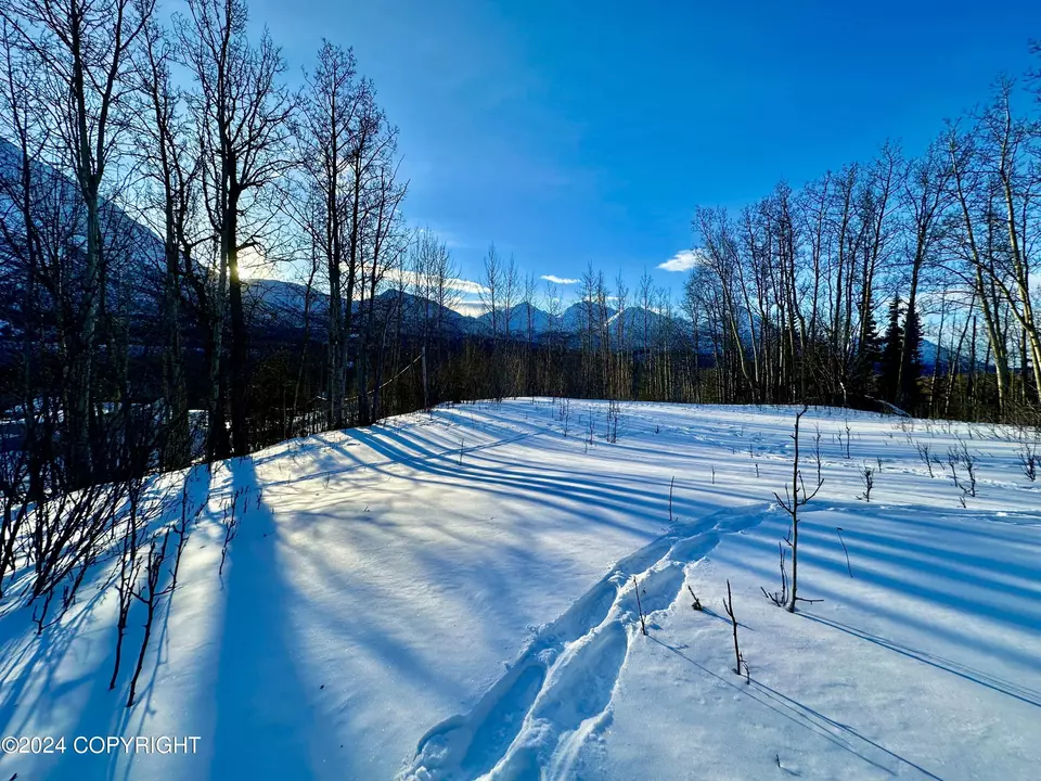  Nhn N Fish Lake Road, Chickaloon, AK 99674 photo 12