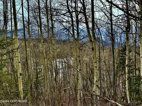 Nhn N Fish Lake Road, Chickaloon, AK 99674