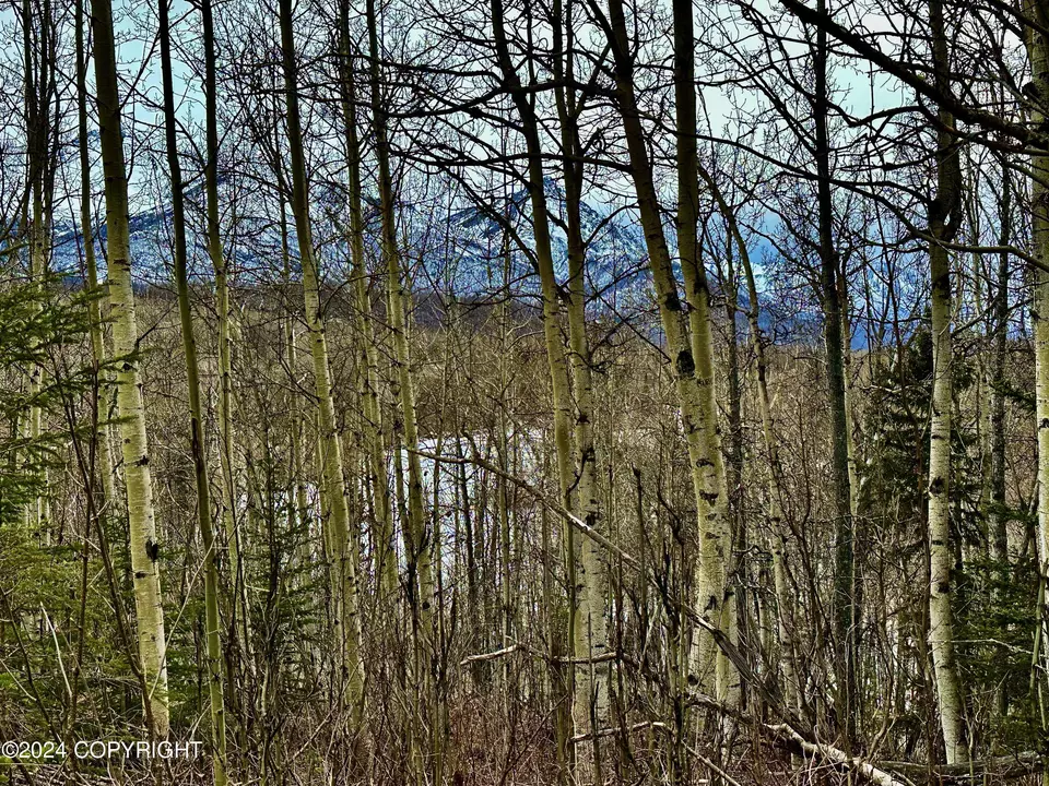  Nhn N Fish Lake Road, Chickaloon, AK 99674 photo 1
