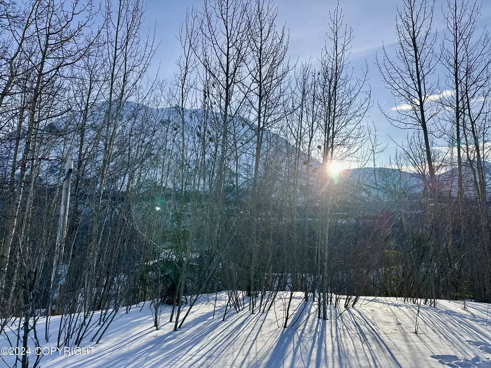  Nhn N Fish Lake Road, Chickaloon, AK 99674 photo 11