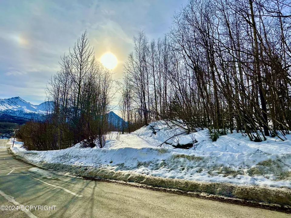  Nhn N Fish Lake Road, Chickaloon, AK 99674 photo 15