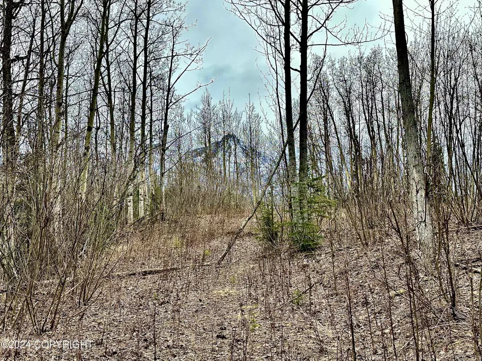  Nhn N Fish Lake Road, Chickaloon, AK 99674 photo 10
